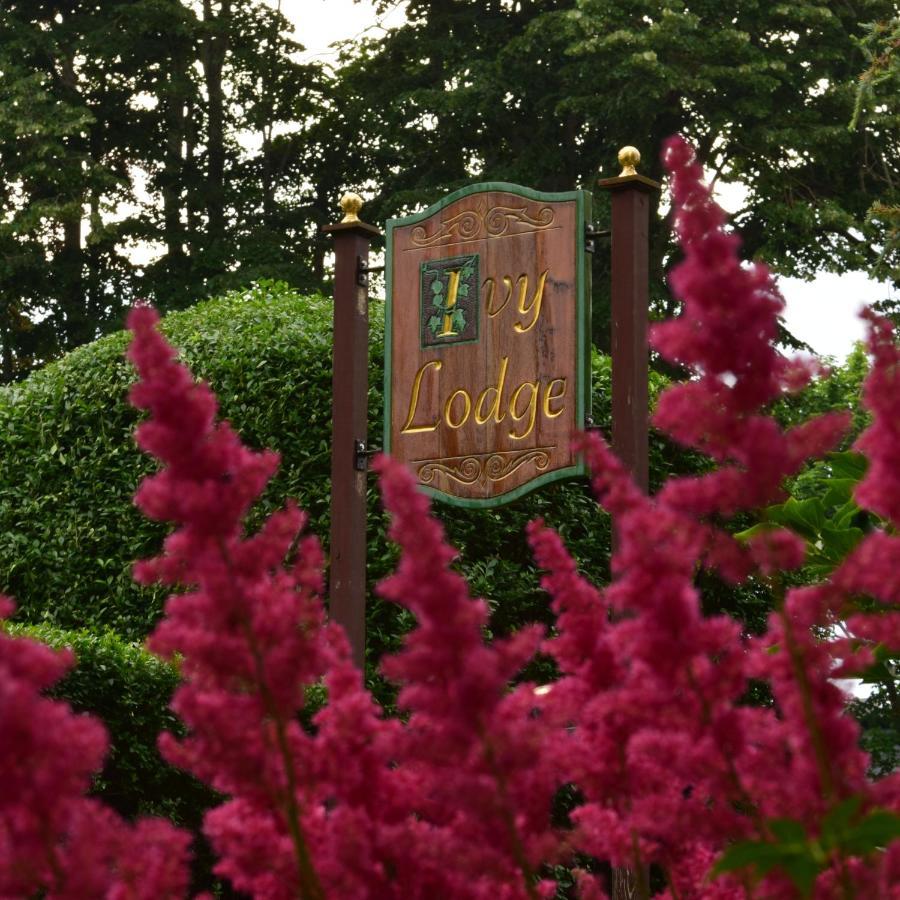 نيوبورت Ivy Lodge المظهر الخارجي الصورة